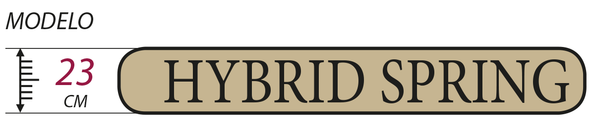 logo-hybrid-spring